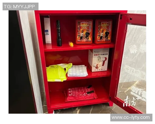 英超球员为防入室盗窃雇佣前格斗选手提升家居安全防护措施